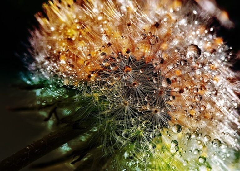 Гороскоп для знаків зодіаку на 2 квітня 2025 року