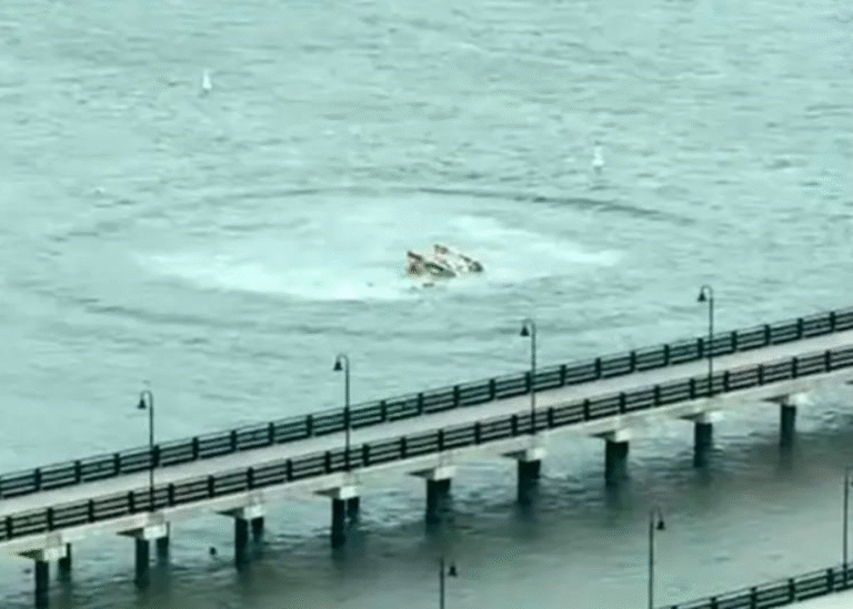 У Нью-Йорку вертоліт упав у річку: є загиблі