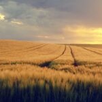 Гороскоп для знаків зодіаку на 15 квітня 2025 року