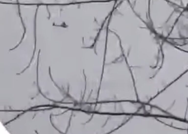 Завод дронів в РФ атакували безпілотники - ЦПД