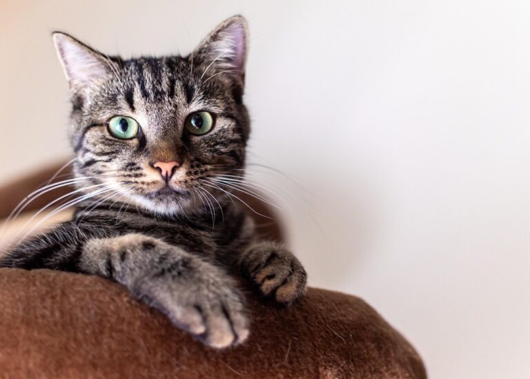 Гороскоп для знаків зодіаку на 30 квітня 2025 року