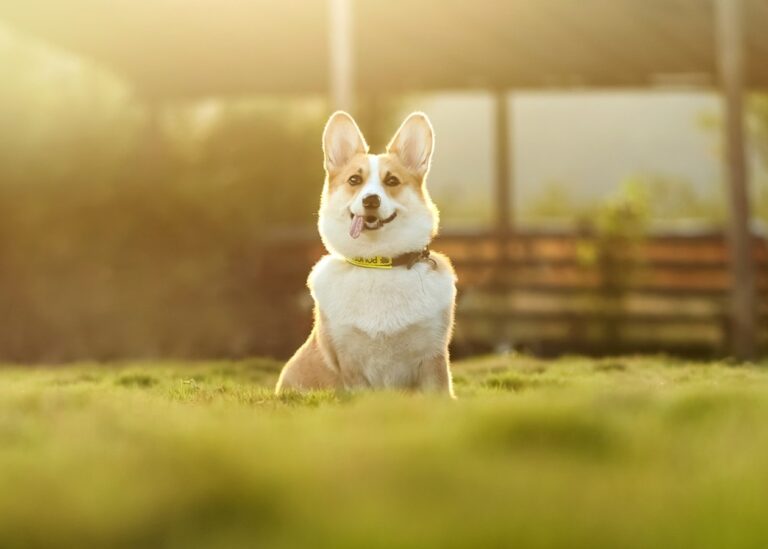 Гороскоп для знаків зодіаку на 9 травня 2025 року