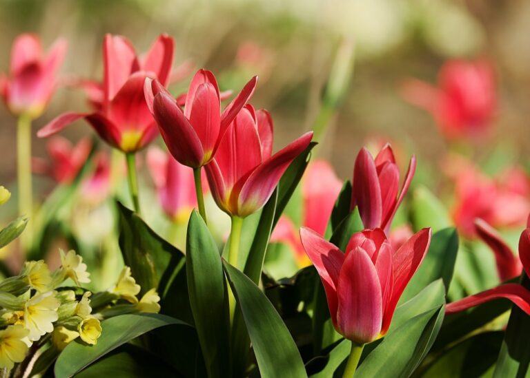 Гороскоп для знаків зодіаку на 20 травня 2025 року