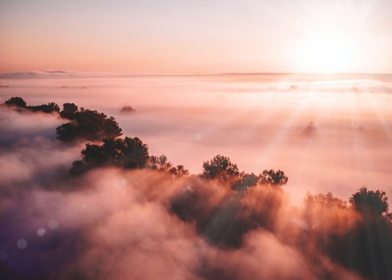 Гороскоп для знаків зодіаку на 23 травня 2025 року