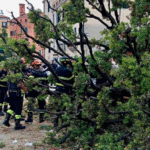 У центрі Венеції 50-річне дерево впало на туристів