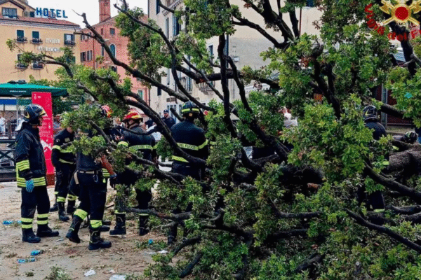 У центрі Венеції 50-річне дерево впало на туристів У центрі Венеції 50-річне дерево впало на туристів