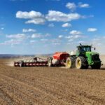 В Україні засіяно 5,6 млн га зернових культур - Шмигаль