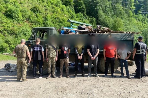 Кози, свині й ухилянти – на Закарпатті викрили схему перевізників Кози, свині й ухилянти - на Закарпатті викрили схему перевізників