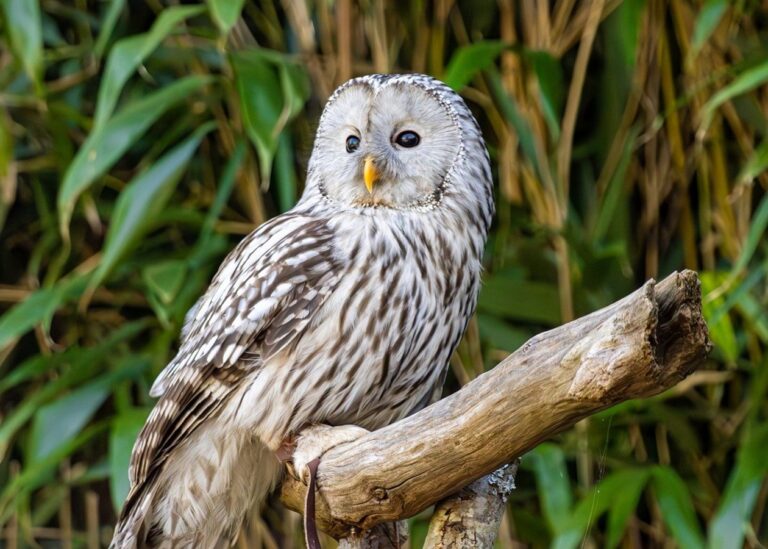 Гороскоп для всіх знаків зодіаку на 26 червня 2025 року