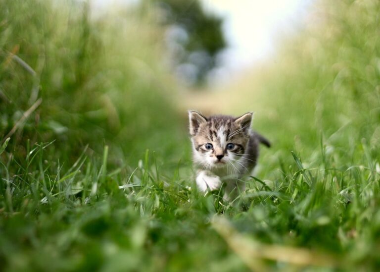 Гороскоп для всіх знаків зодіаку на 8 липня 2025 року