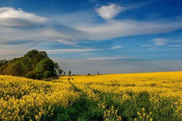Гороскоп для всіх знаків зодіаку на 9 липня 2025 року