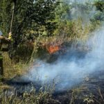 На Одещині вирують масштабні пожежі: є жертва