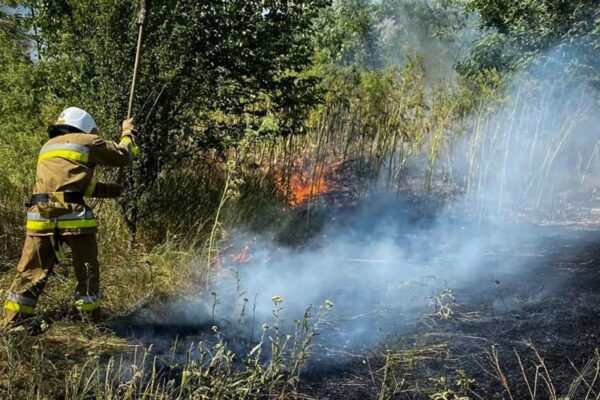 На Одещині вирують масштабні пожежі: є жертва На Одещині вирують масштабні пожежі: є жертва