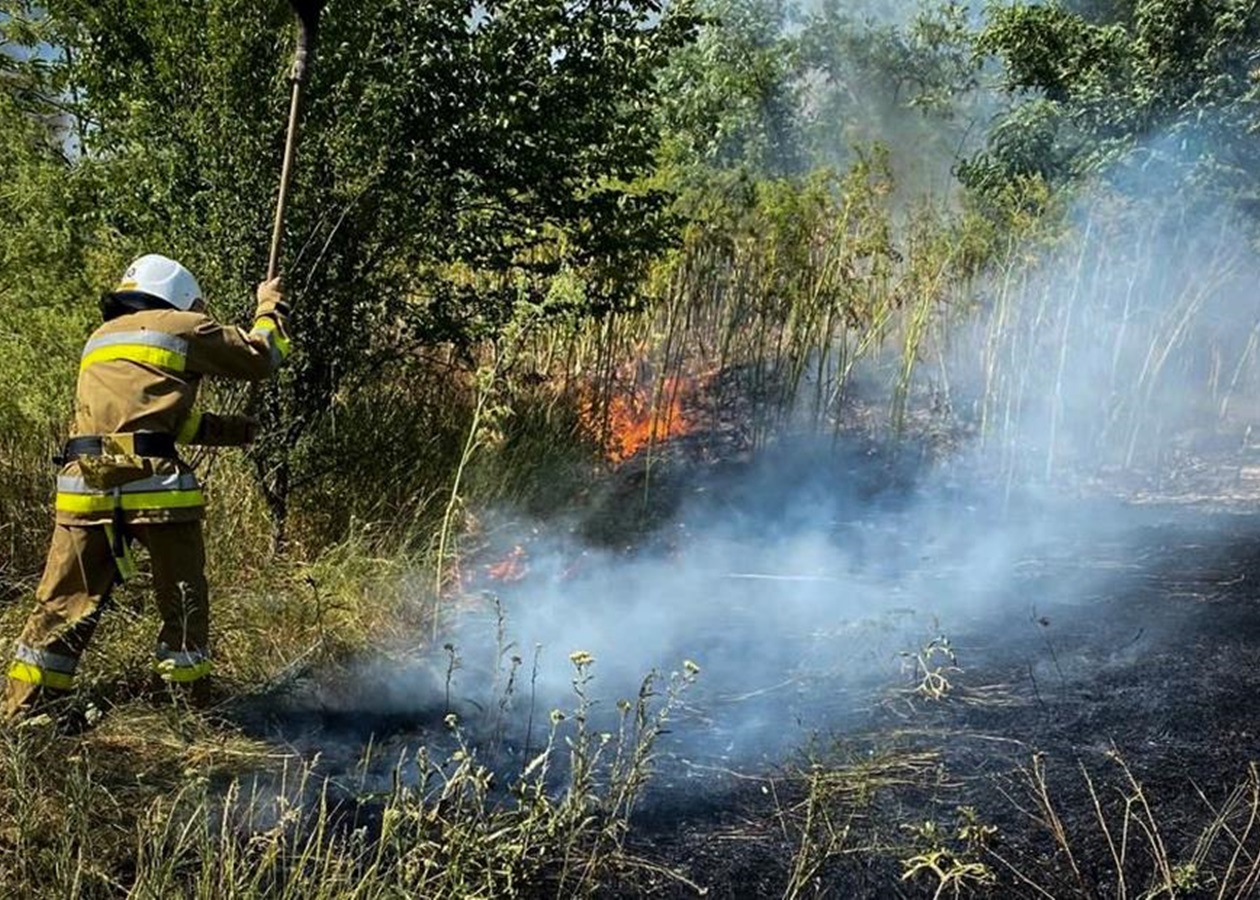 На Одещині вирують масштабні пожежі: є жертва