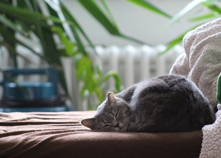 Гороскоп для всіх знаків зодіаку на вихідні 12-13 липня 2025 року