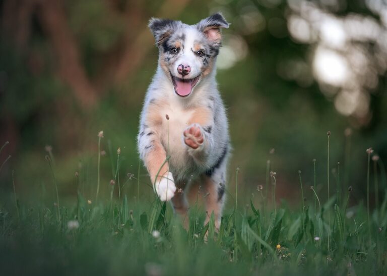 Гороскоп для всіх знаків зодіаку на 24 липня 2025 року