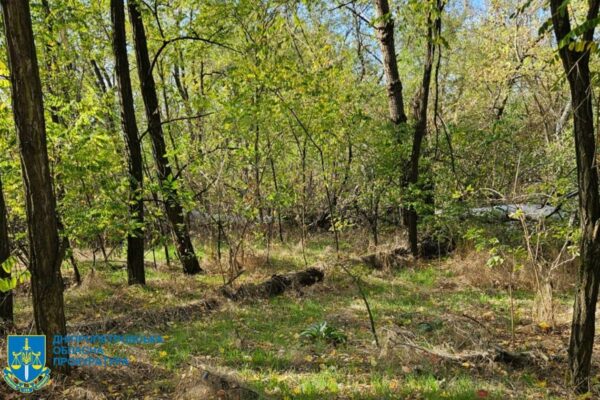 Незаконна вирубка лісу на Дніпропетровщині призвела до 34 млн збитків Незаконна вирубка лісу на Дніпропетровщині призвела до 34 млн збитків