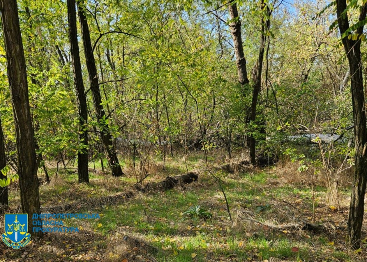Незаконна вирубка лісу на Дніпропетровщині призвела до 34 млн збитків