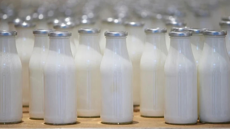 Україна скоротила імпорт молочних продуктів