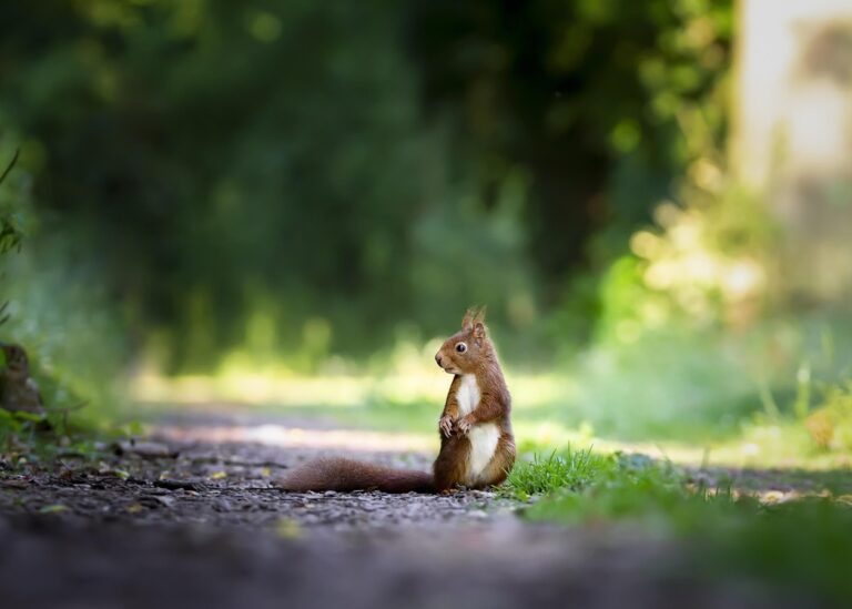 Гороскоп для всіх знаків зодіаку на 31 липня 2025 року