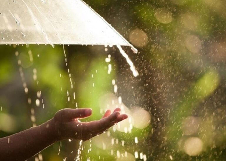 Дощі та місцями грози: погода на вихідні