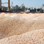 Україна продала мільйон тонн пшениці нового врожаю