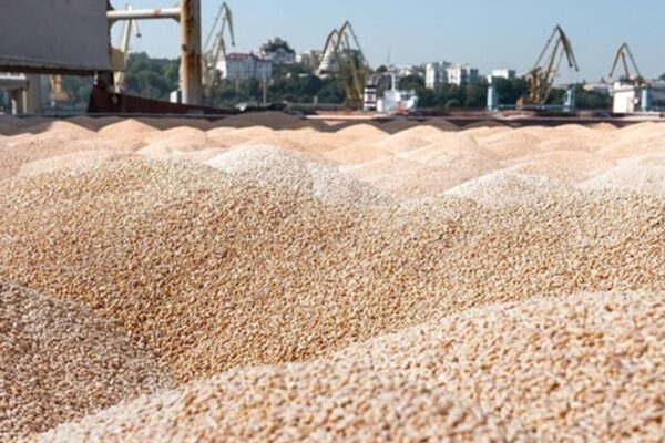 Україна продала мільйон тонн пшениці нового врожаю