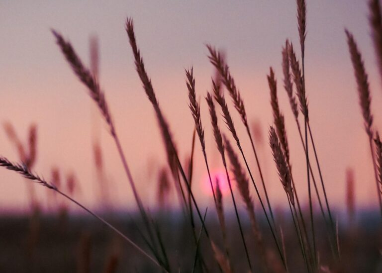 Гороскоп для всіх знаків зодіаку на 19 серпня 2025 року