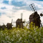 Гороскоп для всіх знаків зодіаку на 20 серпня 2025 року
