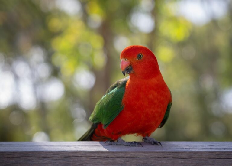 Гороскоп для всіх знаків зодіаку на 22 серпня 2025 року