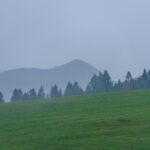В Україні збережеться прохолодна погода, місцями дощитиме