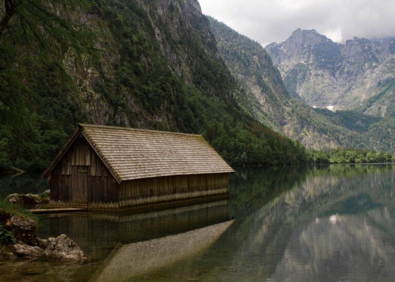 Гороскоп для всіх знаків зодіаку на 29 серпня 2025 року