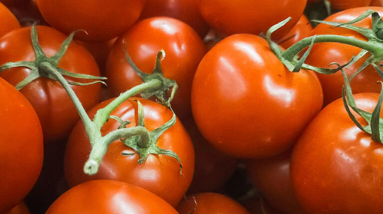 В Україні подешевшали помідори: скільки вони коштують
