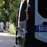 Вбивство Парубія: оприлюднено деталі розслідування