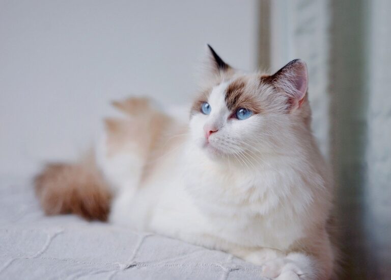 Гороскоп для всіх знаків зодіаку на 2 вересня 2025 року