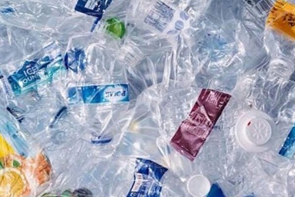 Вчені виявили мікропластик у людських кістках