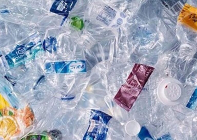 Вчені виявили мікропластик у людських кістках