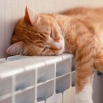 Стало відомо, коли включать опалення в Україні