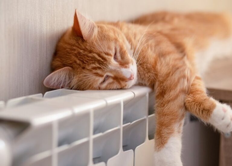 Стало відомо, коли включать опалення в Україні