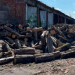 Уряд роздасть по 20 тисяч гривень за опалення будинків дровами