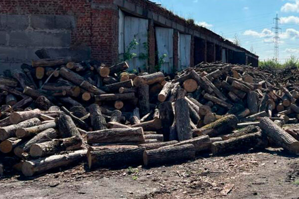 Уряд роздасть по 20 тисяч гривень за опалення будинків дровами