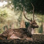 Гороскоп для всіх знаків зодіаку на 2 жовтня 2025 року