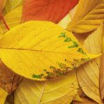 Гороскоп для всіх знаків зодіаку на 7 жовтня 2025 року