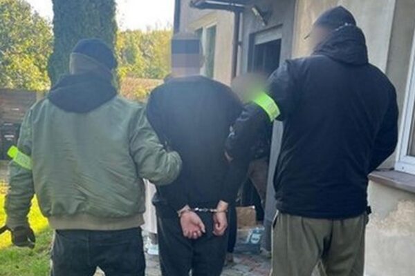 У Польщі затримали палія автівок з українськими номерами У Польщі затримали палія автівок з українськими номерами