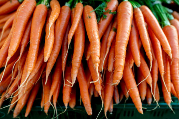 В Україні дорожчає морква: за скільки її можна купити В Україні дорожчає морква: за скільки її можна купити