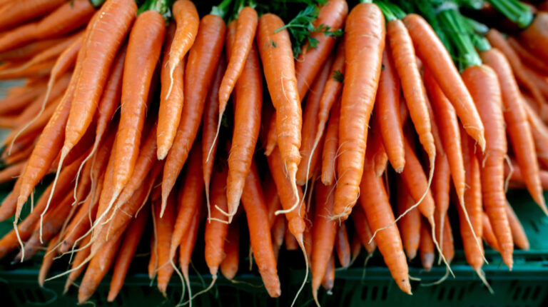 В Україні дорожчає морква: за скільки її можна купити
