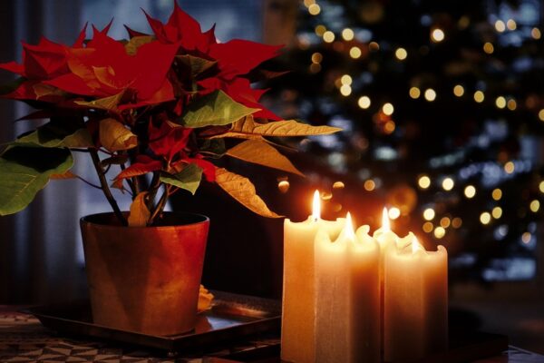 Гороскоп для всіх знаків зодіаку на 3 грудня 2025 року