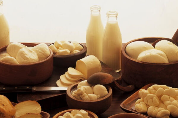 За рік Україна наростила виручку від експорту молочних продуктів на понад 50%
