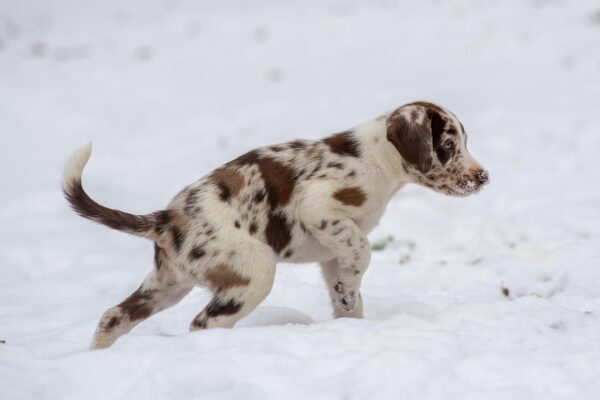 Гороскоп для всіх знаків зодіаку на 14 січня 2026 року