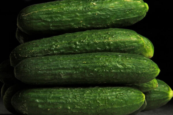 В Україні вчергове подорожчали тепличні огірки: скільки вони тепер коштують